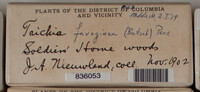 Image Associated With the Occurence